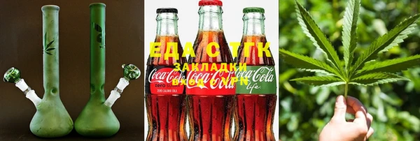 стаф Алзамай