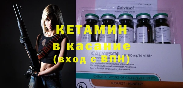 стаф Алзамай