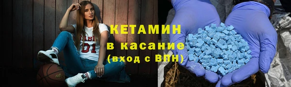 стаф Алзамай