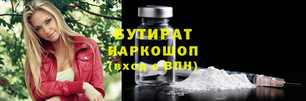 гашик Алексин