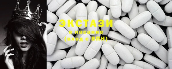 гашик Алексин