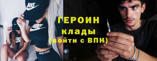 гашик Алексин