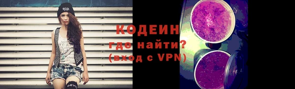 гашик Алексин