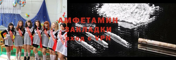 стаф Алзамай