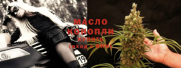 гашик Алексин