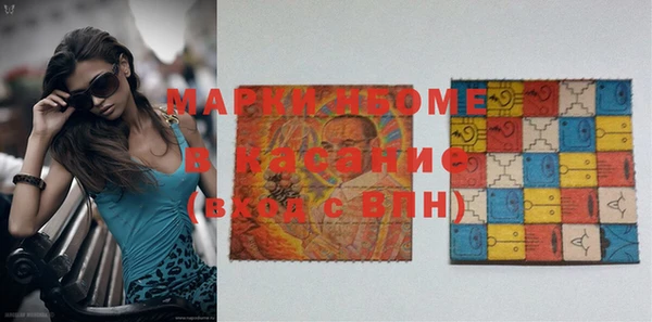 гашик Алексин