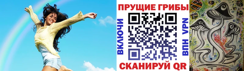 Псилоцибиновые грибы мицелий  Родники 