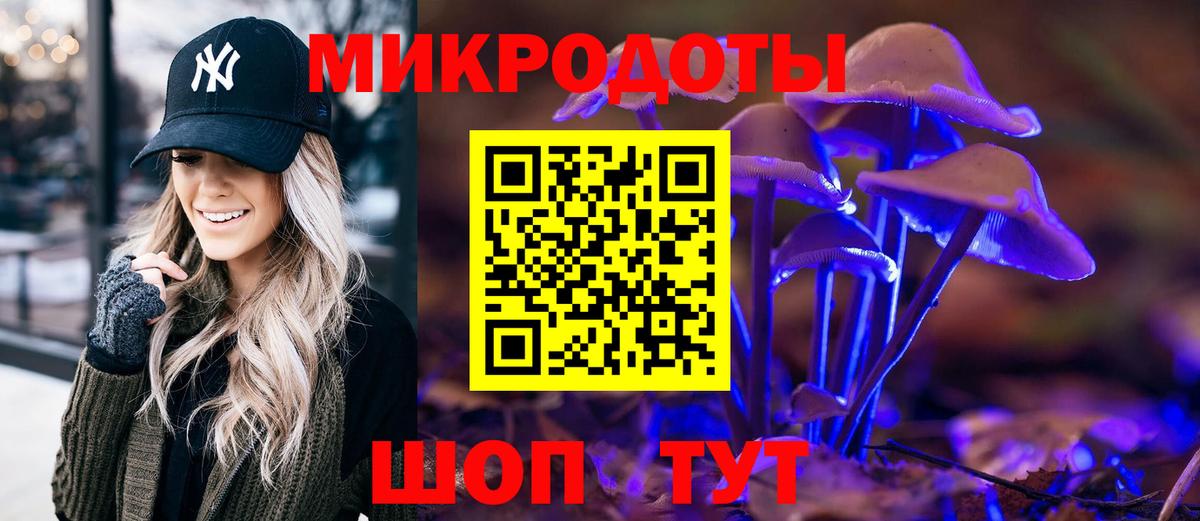 Родники  Галлюциногенные грибы Psilocybine cubensis  Вход с VPN 